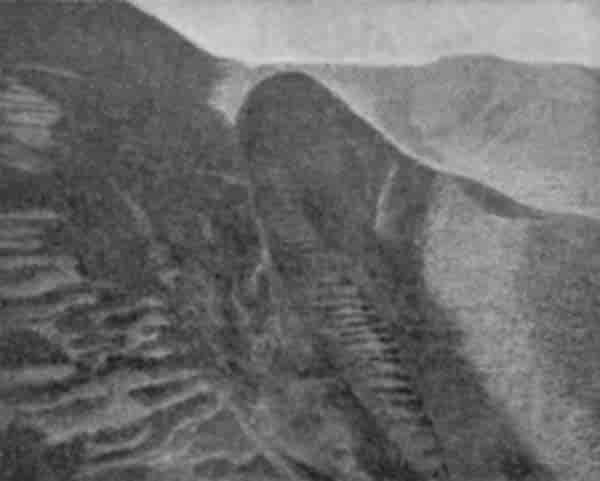 Fig. 50. A steep bit of hill cultivation, Hazára.