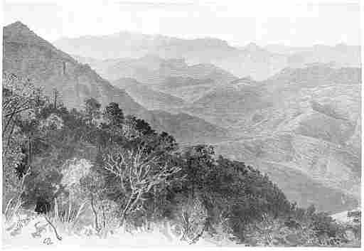 View toward the Northwest from Sierra de Huehuerachi.