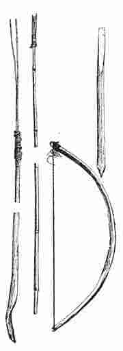 Bow and Throwing-stick for the Fish-spear. A modern Fish-spear with iron points, and thrown by hand is seen to the left.