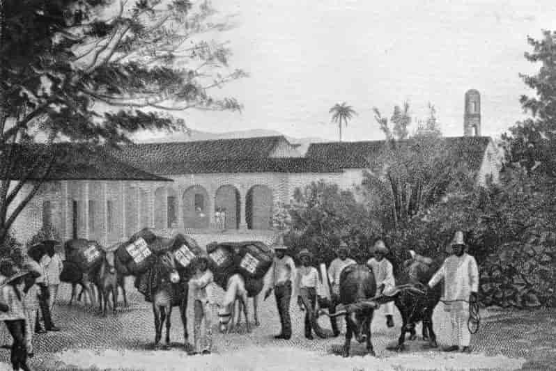 tobacco-producing hacienda