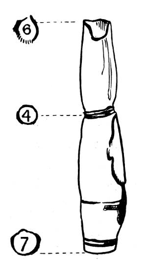 Fig. 23. Bulbed flute