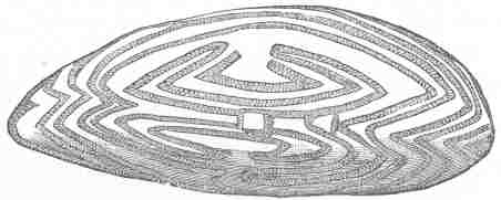 Fig. 1. An Australian Shield