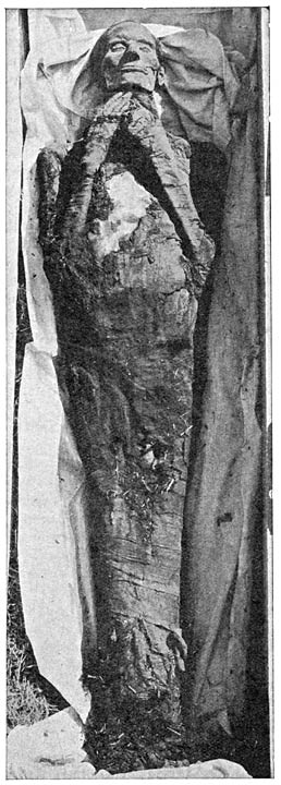 Mummie van Koningin Tia.
