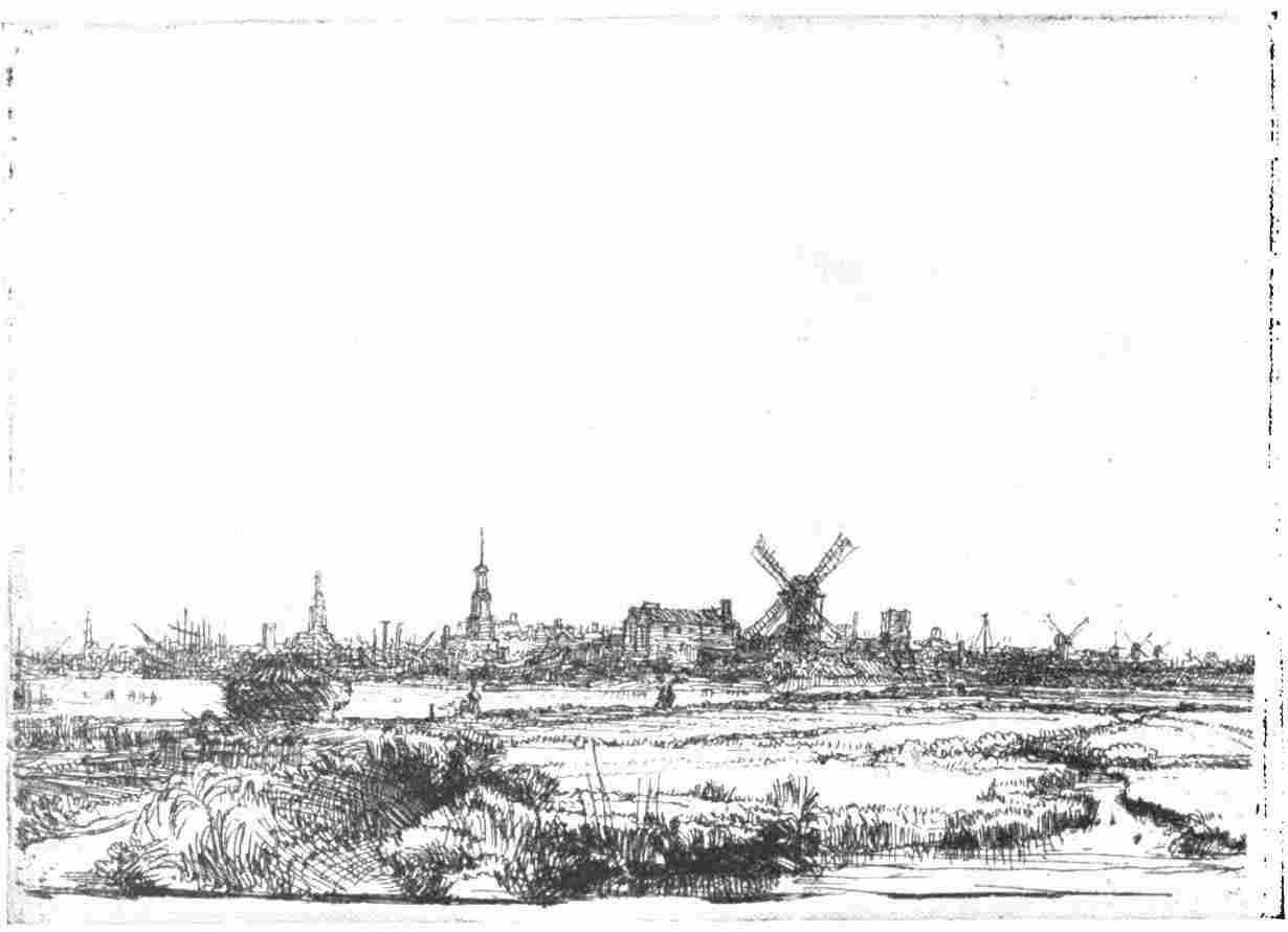 Plate 1. View of Amsterdam from the East.