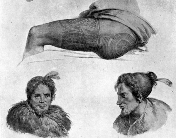 Specimens of Tattooed Faces and Thigh. (From "Expedition de l'Astrolabe.")