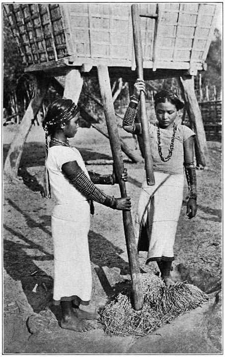 Tingian Girls threshing Rice.