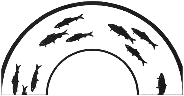 Plate LXI. Circular fish design.