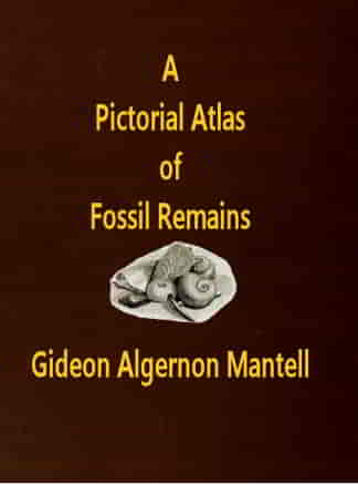 A Pictorial Atlas of Fossil Remains by Gideon Algernon Mantell