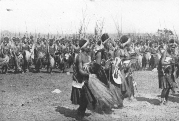 SWAZI WARRIORS AND WOMEN DANCING