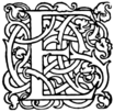 Ornate Uppercase Letter E