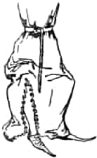 A houppelande showing the leg opening
