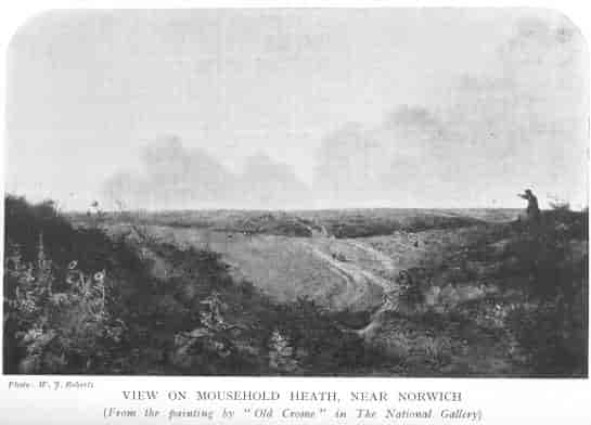 View on Mousehold Heath, near Norwich. (From the painting by “Old Crome” in The National Gallery.) Photo: W. J. Roberts
