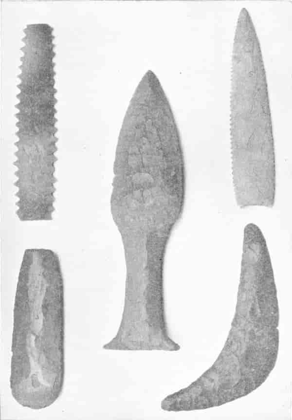 NEOLITHIC FLINT IMPLEMENTS