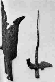 [Illustration: Two early 17th-century polearms—a bill and halberd—unearthed at Jamestown. Both weapons had long wooden handles.]