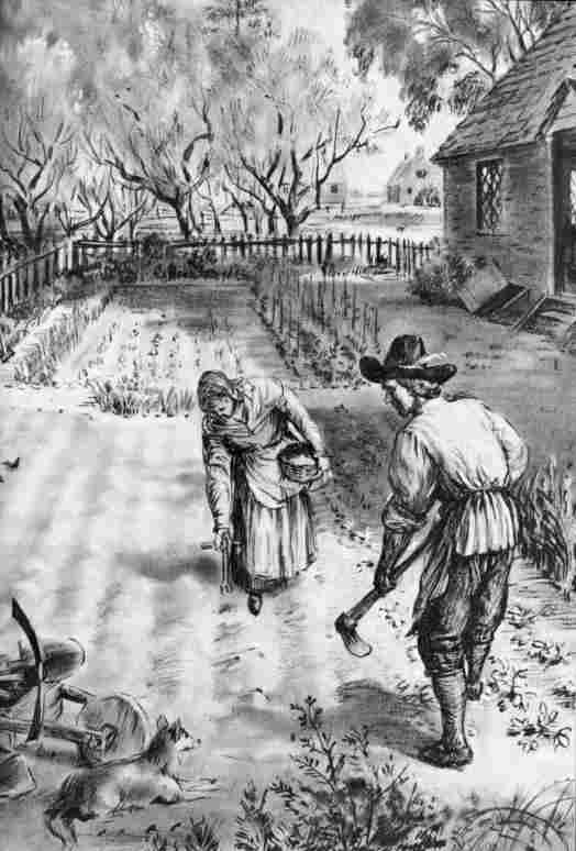 [Illustration: Cultivating a small garden in Virginia. (Conjectural sketch by Sidney E. King.)]