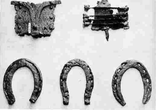 [Illustration: Wrought-iron horseshoes and currycombs used prior to 1650.]