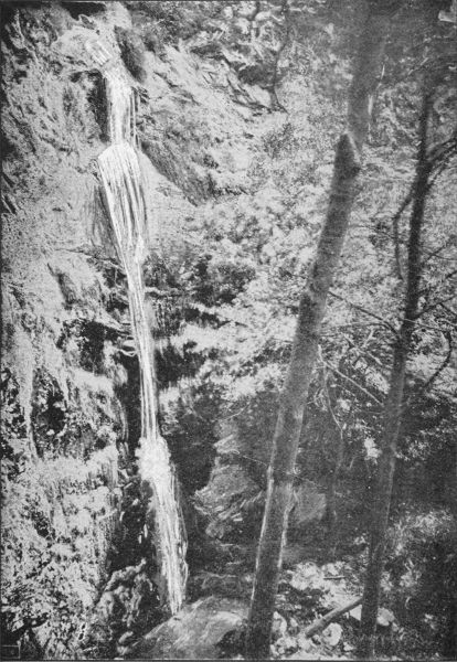 Leontine Falls, near Echo Mountain, Mount Lowe Railway.