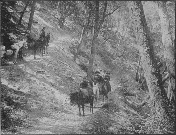On the Bridle Roads of the Mount Lowe 8.