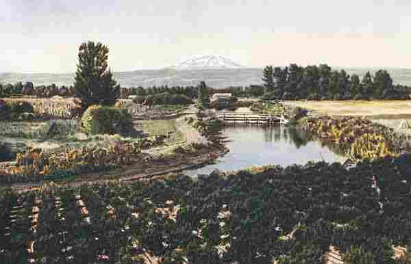 SUNNYSIDE CANAL—MOUNT ADAMS IN DISTANCE