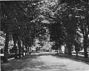 A SHADY BOULEVARD IN WALLA WALLA.