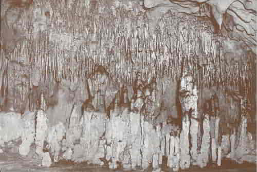 The stalagmite on the right is almost joined with a stalactite. If it does, it will make a column. The grape-like clusters in the upper foreground result when the flow of water is so slow that all of it evaporates from the ceilings and deposits its mineral load there.