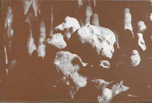 The “duck” results from irregular resistance of the limestone to solution by ground water. These nodular masses were more resistant and the less-resistant, usually softer limestone has been removed from about them, leaving the form resembling a duck. Several stalagmites are in the background. These are younger than the “duck.”