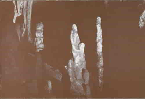 Stalagmites resulting from varied origins. The center one was formed from the intergrowth of several stalagmites. The deposit on the left was developed as a series of flat basin-like parts, over which water splashed and cascaded to the floor, the basins being inclined in various directions. The right stalagmite began as did the left one but the basins were soon eliminated and the growth was made more regularly.