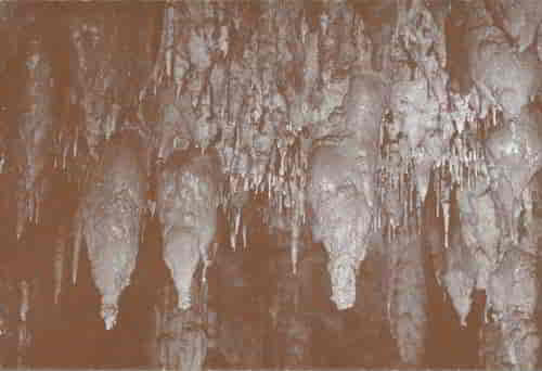 These deposits combine a rather even and general flow of water and possible intergrowth of the stalactites to make the thickened deposit. The ground water issued more rapidly and was concentrated at one point to make the long tubular deposits, the tube being made by rapid evaporation along the outer margins of the drops of water as they hang on the stalactite before the large part of the water falls to the floor.