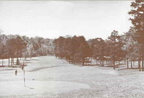 Nestled ’midst hundreds of pines, hickories, sweetgum and oak trees, Florida Caverns golf course is one of the most scenic in the United States. It was laid out after the design of the famous St. Andrews Golf Course of Scotland.