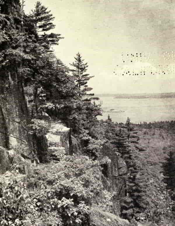 FRENCHMAN'S BAY FROM THE EAST CLIFF OF CHAMPLAIN MOUNTAIN