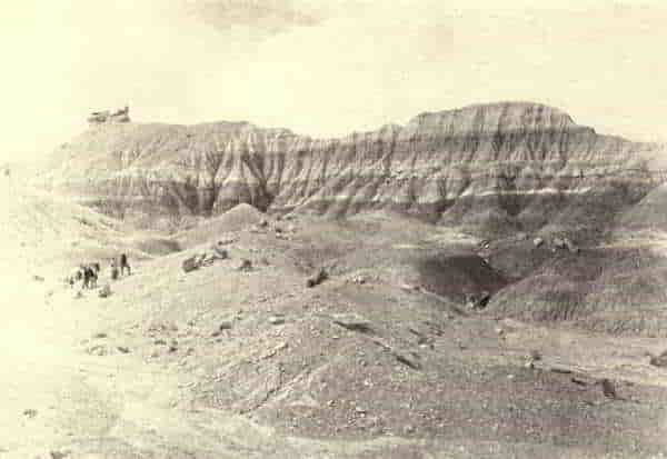 THE PETRIFIED FOREST OF ARIZONA