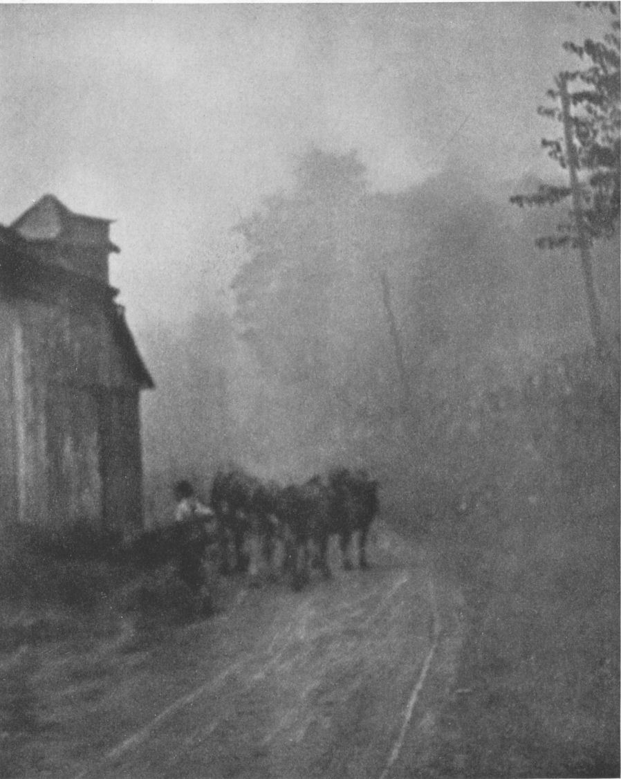 A MISTY MORNING, By N. S. Wooldridge, Pittsburgh, Pa.